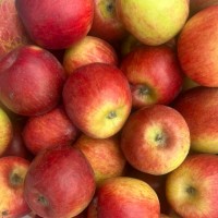 脆甜爽口，阳光暴晒下的苹果